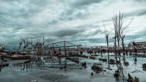 Wildfire and flood mitigation