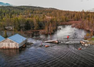 Wildfire and flood mitigation