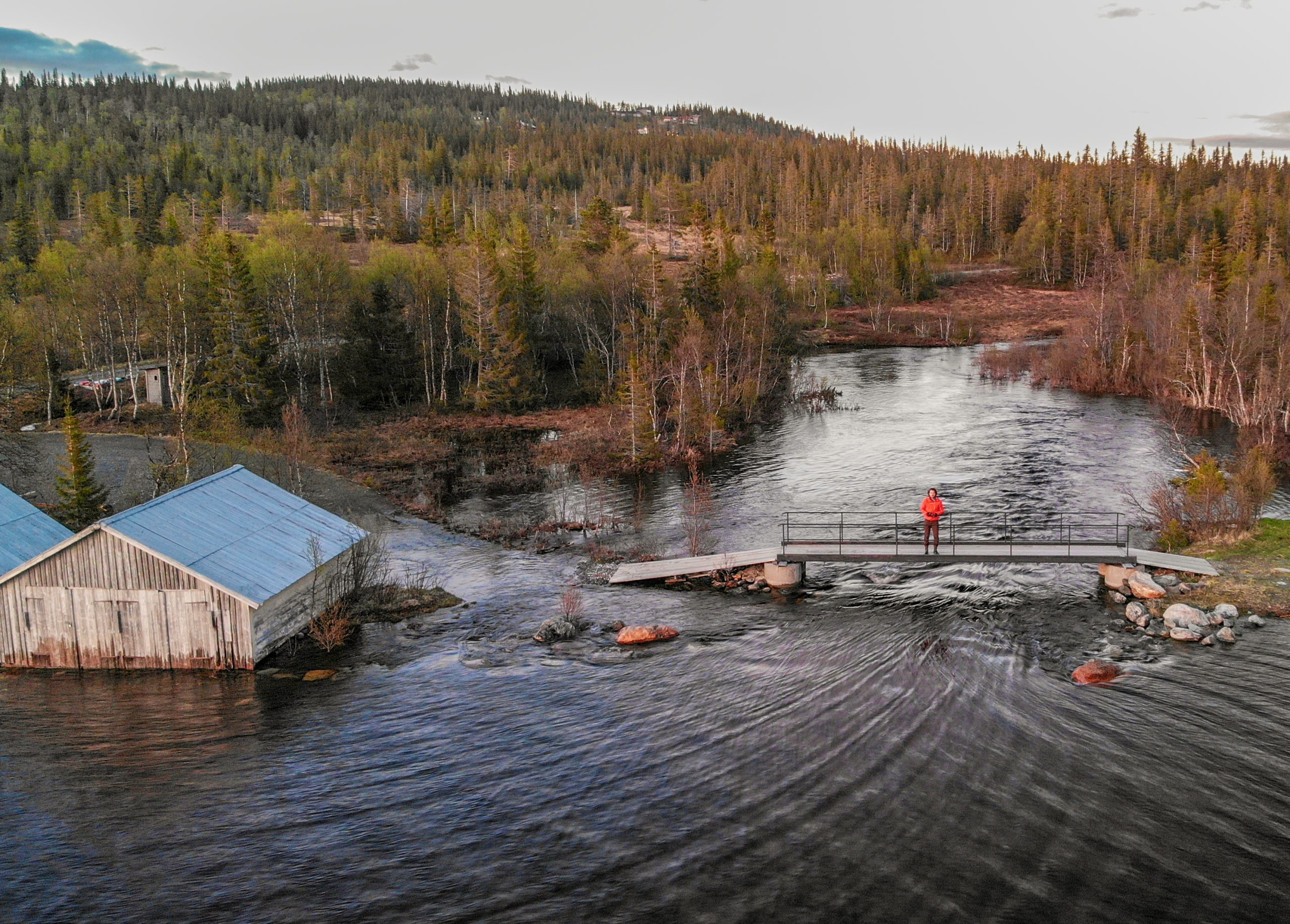 Wildfire and flood mitigation