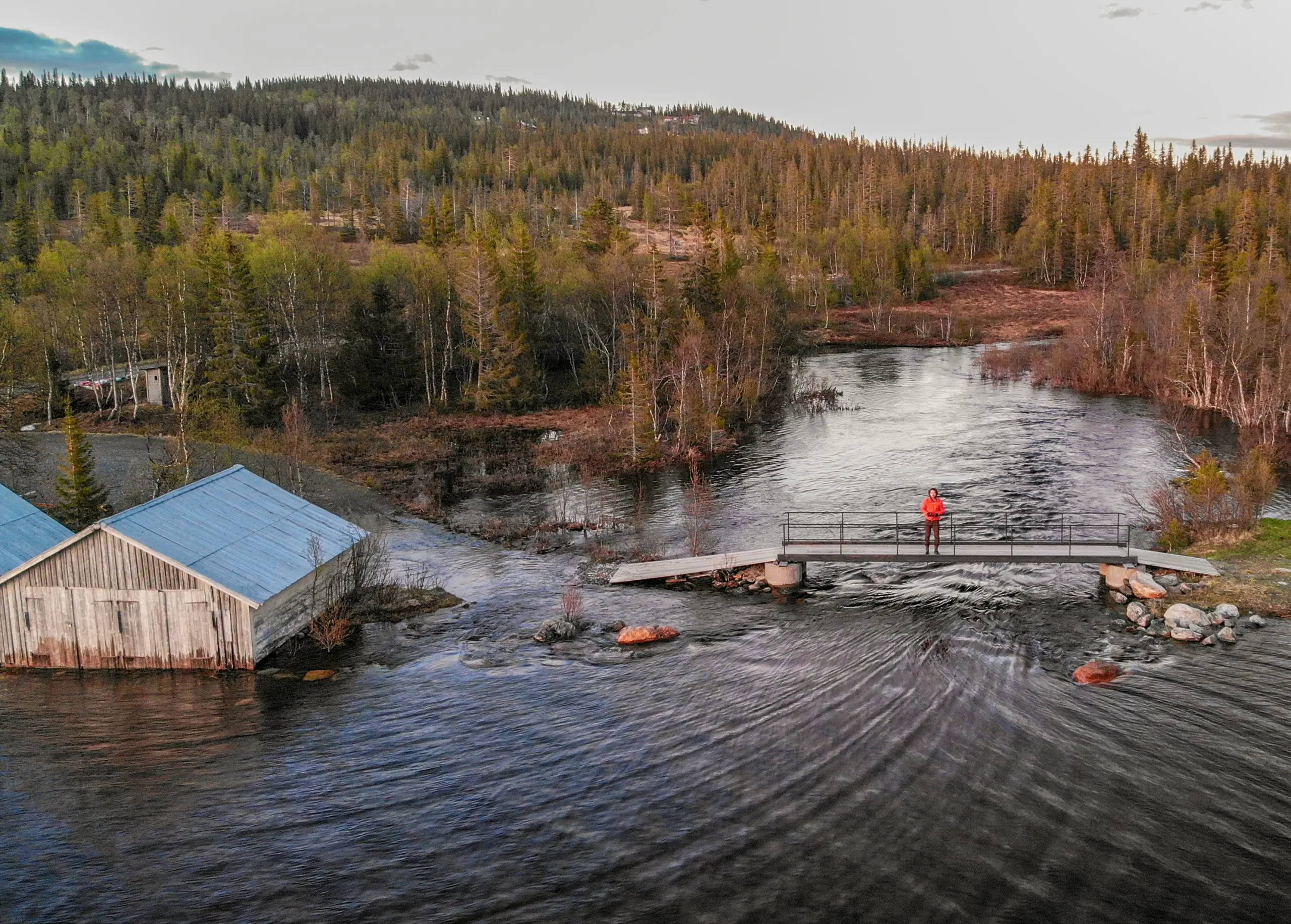 Wildfire and flood mitigation